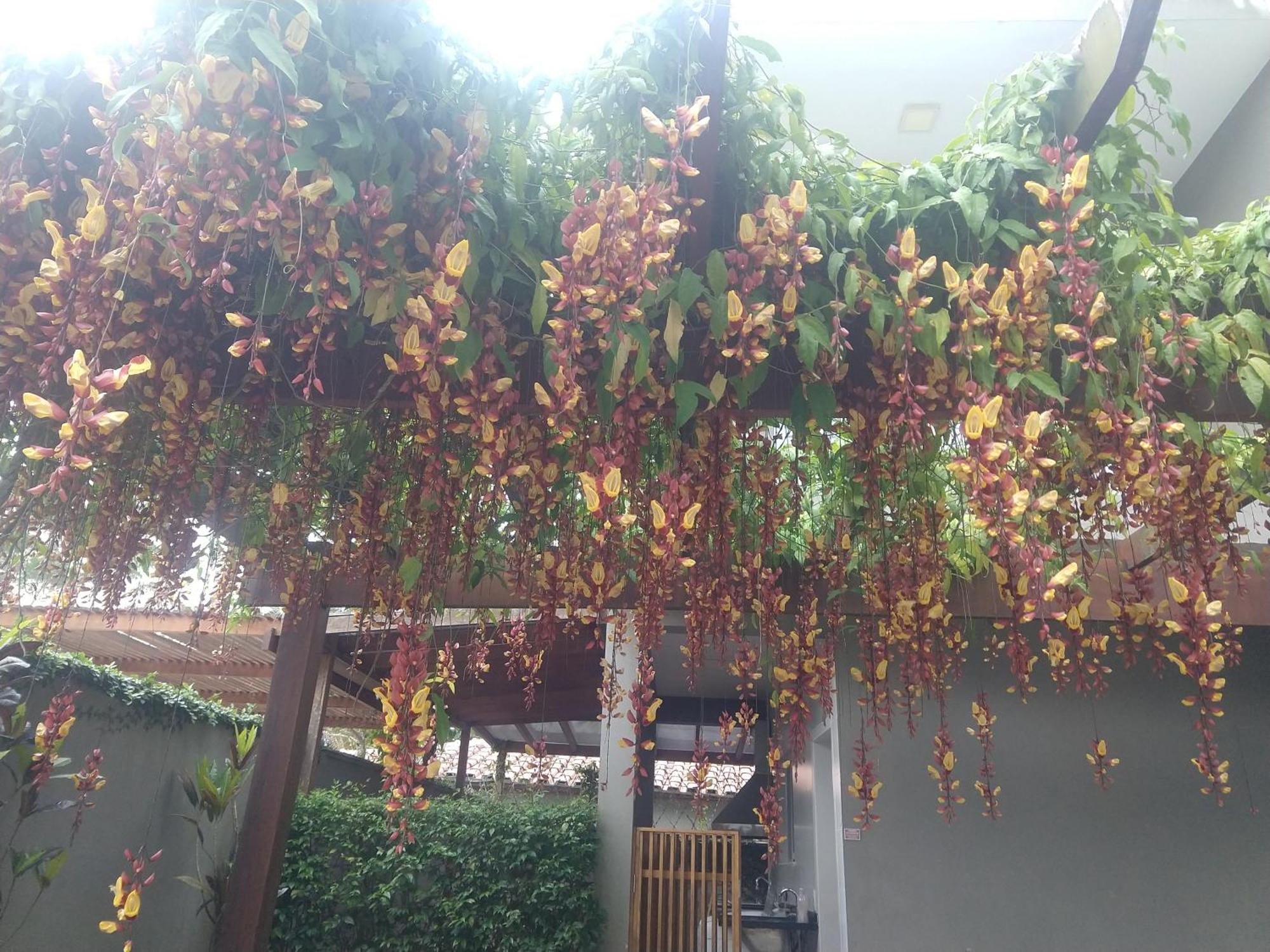 Casa Em Condominio Fechado, Ambiente Familiar Sao Sebastiao  Dış mekan fotoğraf